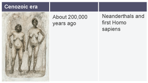 About 200,000 years ago: Neanderthals and first homo sapiens.