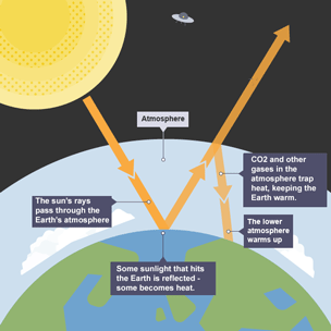 The Greenhouse Effect