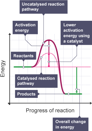 Activation energy graph