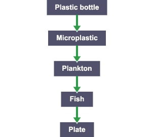 Flow diagram: Plastic bottle > Microplastic > Plankton > Fish > Plate.