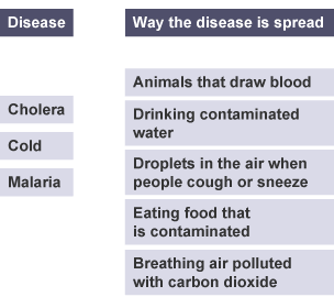 Draw lines from the list of diseases on the left to their most likely way of transferal