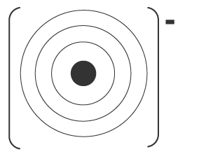 a central nucleus and three empty concentric circles