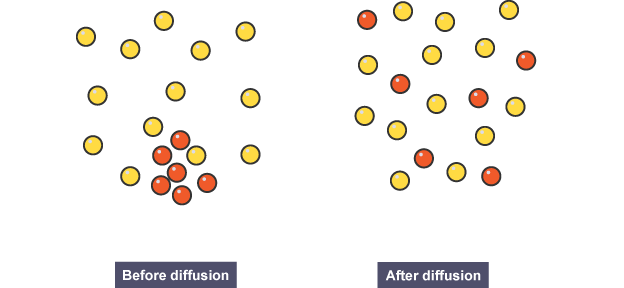 Diffusion