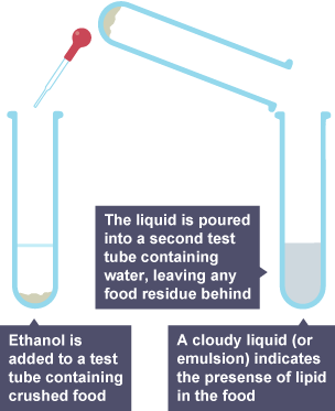 Diagram showing how the emulsion test can detect lipids in a solution