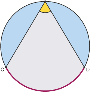 Blue circle bit angle in between the two lines is subtended by the  arc  between C and D.