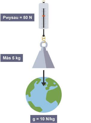 Diagram o blaned y Ddaear, lle mae disgyrchiant yn cyfateb i 10 Newton y cilogram. Uwch ei ben mae pwysau a mesurydd. Mae gan y pwysau fàs o 5 cilogram ac mae’n pwyso 50 Newton.