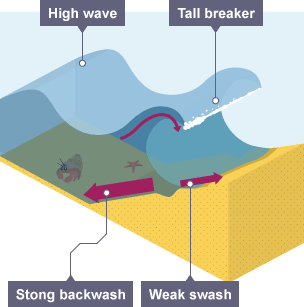 Constructive waves are high in proportion to their length. They have a weak swash but a strong backwash. A tall breaker is a tall wave which breaks downwards with great force.