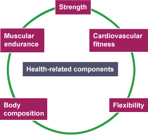 The 11 components of fitness - Keeping fit and healthy through
