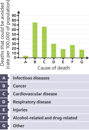 A bar-chart representation of leading causes of avoidable deaths.
