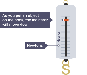 The Newton Balance looks like a thermometer with a hook at the bottom and an indicator. The measurements are in Newtons. When an object is placed on the hook the indicator moves downwards.