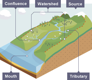 Characteristics of the drainage basin - The drainage basin - CCEA - GCSE  Geography Revision - CCEA - BBC Bitesize