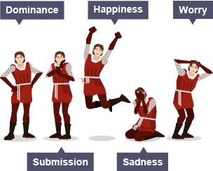 5 different types of body language: Dominance, Submission, Happiness, Sadness, Worry