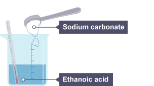 Sodium carbonate powder is tipped into a beaker of ethanoic acid which contains a thermometer showing room temperature.