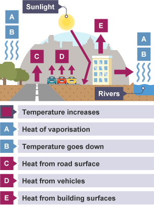 Built-up urban areas are often 3 to 4 degrees warmer than surrounding areas. This is known as the urban heat island.