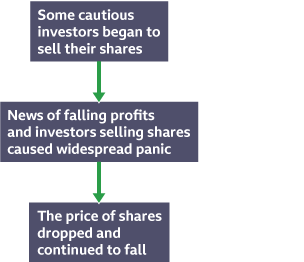 Some cautious investors began to sell their shares. News of shares being sold and falling profits led to widespread panic. The price of shares dropped and continued to fall