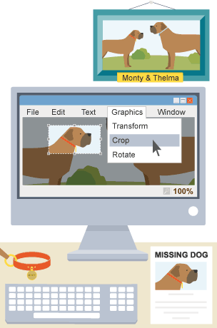 A photo of a missing dog being cropped in a photo editing application