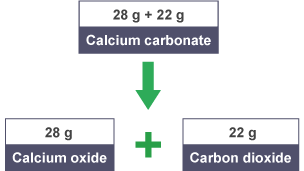 To find out the amount of calcium carbonate, add the 28 grams of calcium oxide and 22 grams of carbon dioxide