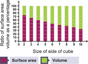 A Graph of the surface area