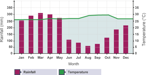 What is the average temperature in a tropical rainforest?