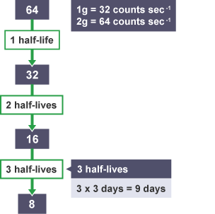 1g activity 32. 2g sample activity 2x32, 64. 1 half-life activity 32. 2 half-lives 16. 3 half-lives 8. If half-life is 3 days, takes 3 half-lives for activity to drop to 8 counts then equals nine days