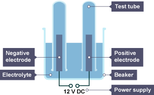 A negative and positive electrode in upside-down test tubes which have been placed in a beaker of electrolyte liquid. The electrodes are attached to a 12 V DC charge.