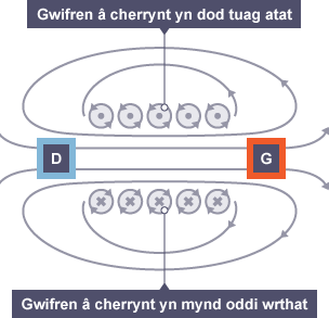 Trawstoriad o wifrau’n cludo cerrynt tuag atat, a gwifrau’n cludo cerrynt i oddi wrthat. Mae’r llinellau maes magnetig sy’n gysylltiedig â’r gwifrau yn cael eu dangos.