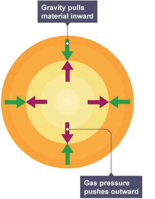 A diagram showing a star in its main sequence. Red arrows pointing away from the centre show how gas pressure pushes outward. Green arrows pointing inward show how gravity pulls material inward.