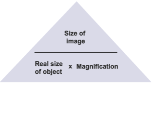 A triangle showing how to calculate the magnification of an image