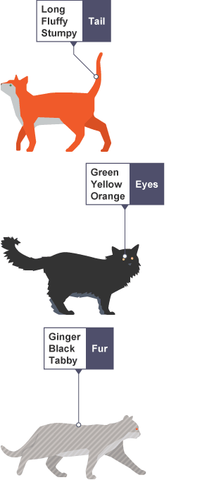 Patterns and similarities can be found between different types of cat. All cats have tails, eyes and fur but the characteristics of each can vary from cat to cat.