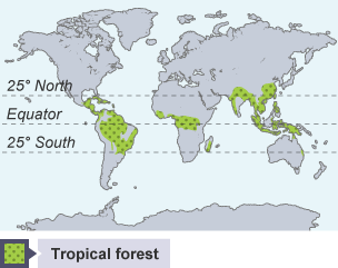 Tropical rainforests are mostly found in South America, central Africa, and south Asia.