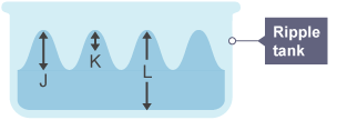 A graphic showing some ripples in a ripple tank.