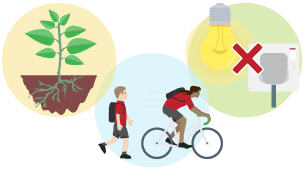 Three icons to depict: Planting a tree; Walking/cycling to school; Turning off lights and electrical devices.