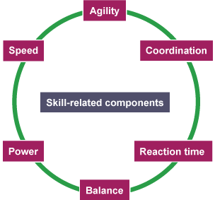 Components of fitness reaction time definition sale