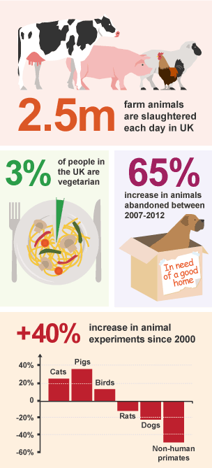 BBC Bitesize - GCSE Religious Studies - Animal rights - Revision 4