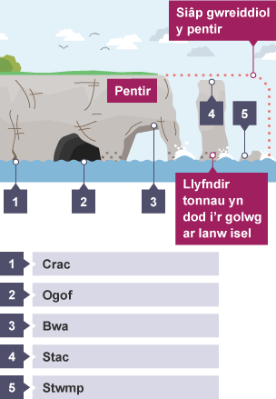 Mae crac yn ehangu i fod yn ogof, ac ogof yn ehangu i fod yn fwa. Mae’r bwa’n cwympo gan adael pentir a stac. Mae llyfndir tonnau yn dod i’r golwg ar lanw isel. Mae’r stac yn cwympo ac yn troi’n stwmp