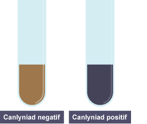 Dau diwb profi. Un yn cynnwys ïodin ac yn lliw oren. Y llall yn cynnwys ïodin a startsh ac yn lliw du.