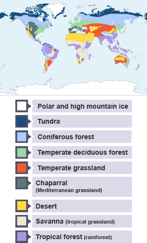 The variety of biomes that is in existence