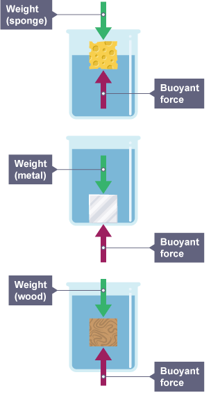 Three different material weights are in water. This experiment shows the buoyant force acting on each material.