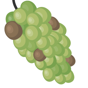 A bunch of grapes