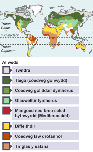 Prif fiomau: twndra, taiga (coedwig gonwydd), coedwig gollddail dymherus, glaswelltir tymherus, mangoed neu bren caled bythwyrdd (Mediteranaidd), diffeithdir, coedwig law drofannol, tir glas y safana.