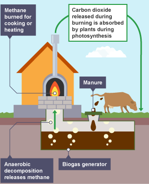 A diagram showing how a biogas generator works.  Biogas is generated from manure and then used as fuel.