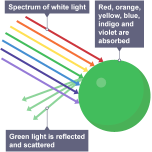 Science Revision - What is the difference between Transparent and  Translucent. 