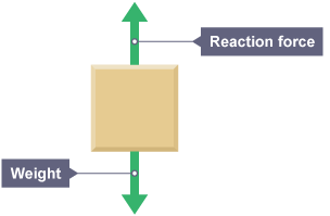 This is a type of free body diagram. It shows a block with two arrows pointing up and down from the block. The top arrow is labelled “Reaction force” and the bottom is “Weight”