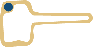 Cross-section of root hair cell: a roughly rectangular shape with a long, thin tail extending to the right and a nucleus at the top left.