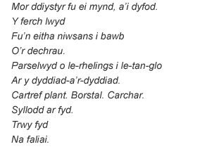 Dyfyniad o'r gerdd 'Gail fu farw' gan Nesta Wyn Jones.