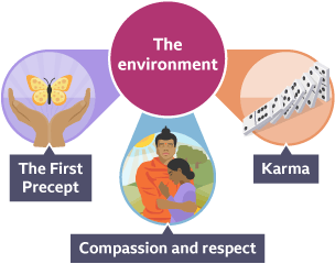 Three images under the term 'the environment' - hands cusping a butterly for the first precept, one Buddhist holding another for compassion and respect, and dominoes knocked over to show the concept of karma.