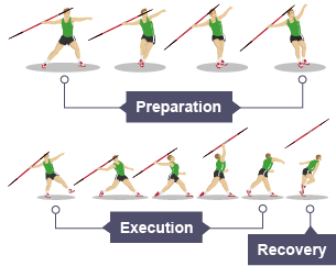 The sub-phases of a javelin throw, in its preparation, execution and recovery stages.