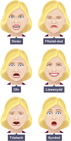 A: Dicter. B: Ffieidd-dod. C: Ofn. Ch: Llawenydd. D: Tristwch. Dd: Syndod.
