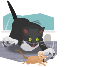 A cat chasing a mouse.