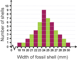 A species of snail lived 400 million years ago. Scientists measured the width of 49 fossil shells of this snail. The bar chart shows the scientists’ results.